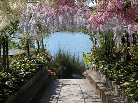 La Scena del Giardino: Una Sinfonia di Colori e Ombre Delicate!