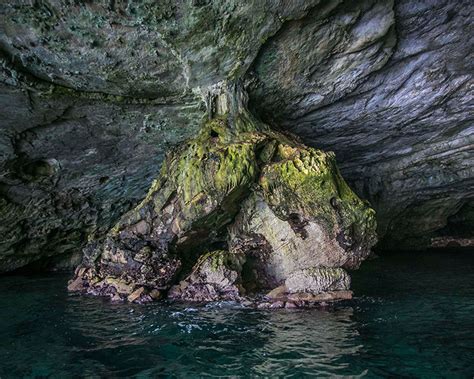 La Grotta del Drago! Un capolavoro di Enchū che celebra la natura e l'immaginazione.